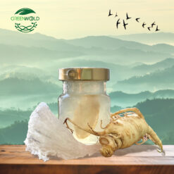 70ml OEM Tổ Yến Chưng Nhân Sâm