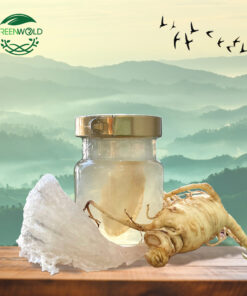 70ml OEM Tổ Yến Chưng Nhân Sâm