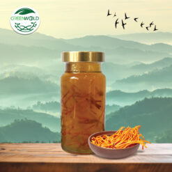 150ml OEM Tổ Yến Chưng Đông Trùng Hạ Thảo