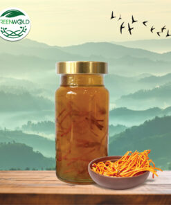 150ml OEM Tổ Yến Chưng Đông Trùng Hạ Thảo