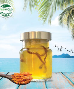 70ml OEM Yến Chưng Đông Trùng Hạ Thảo