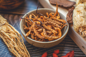 Đông Trùng Hạ Thảo